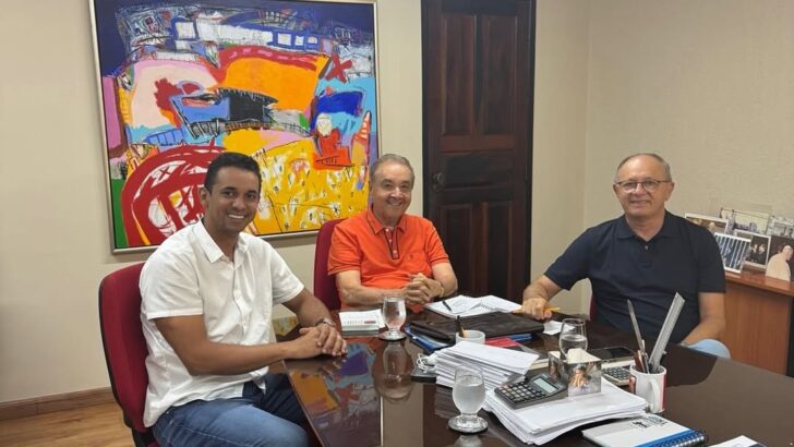 Reunião União PP