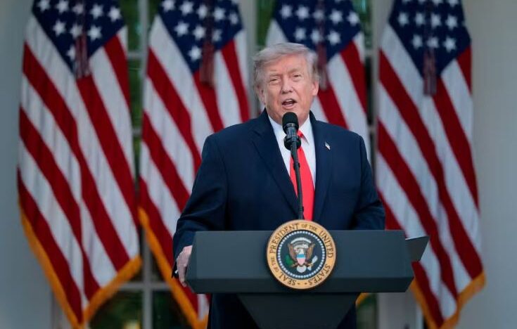 Trump 19 Copia