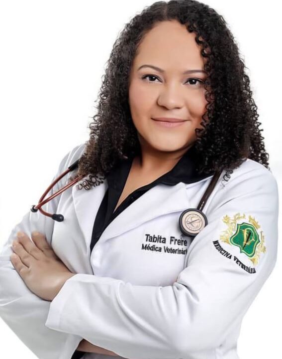 Barulho de fogos de artifício pode causar danos e levar até à morte de cães e gatos | notícias do rio grande do norte Veterinária