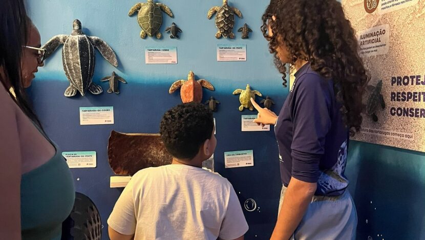 Exposição gratuita celebra o dia internacional das tartarugas marinhas em natal | notícias do rio grande do norte WhatsApp Image 2026 06 16 at 13.02.18