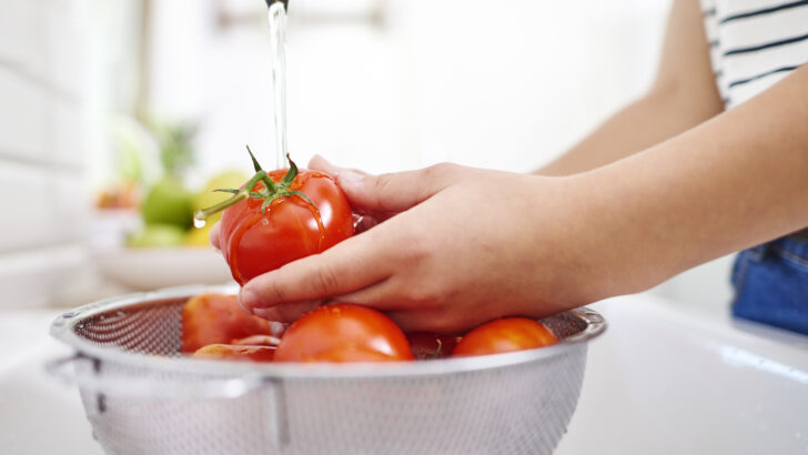 alimentos Copia