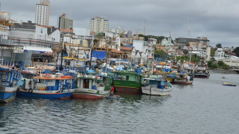 barcos de pesca