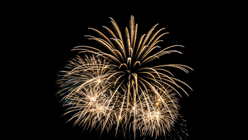 Fogos de artifício podem causar convulsões e até morte de pets | notícias do rio grande do norte colorful firework display