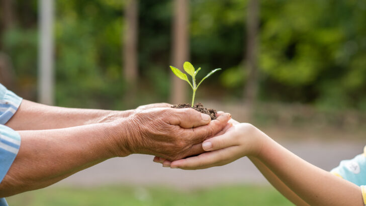 elderly person children holding plant (1)