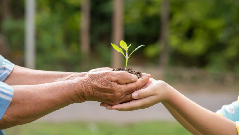 elderly person children holding plant (1)