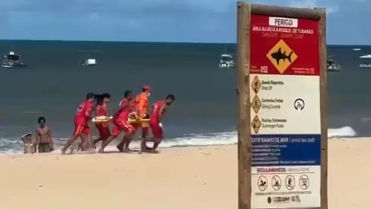 tubarão