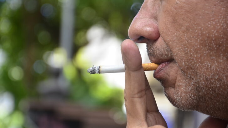 Cigarro fumante (4)