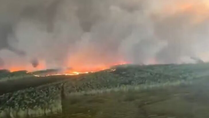 Incêndio na França