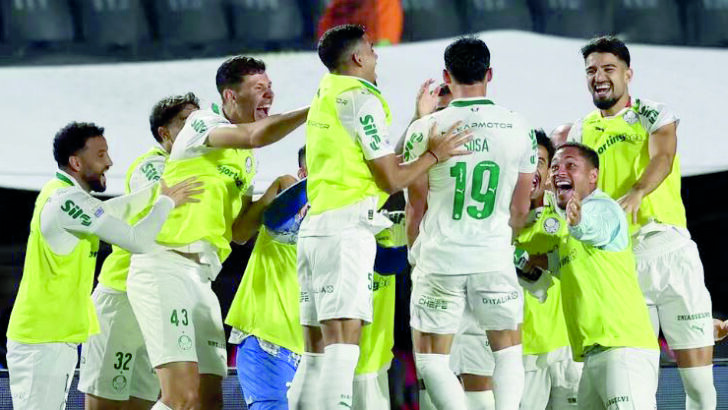 Palmeiras 04