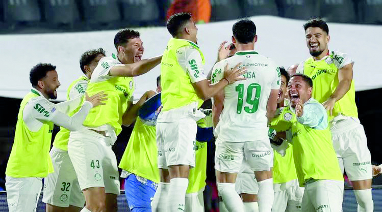 Palmeiras 04