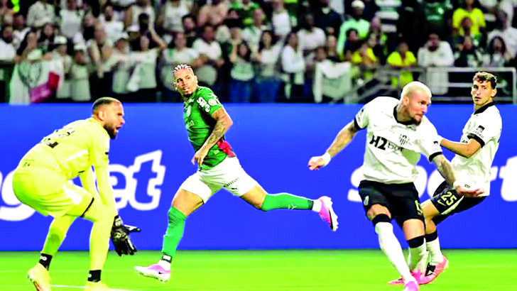 Palmeiras e galo