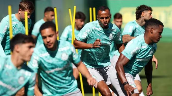 Palmeiras treino