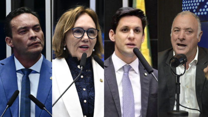 SENADO