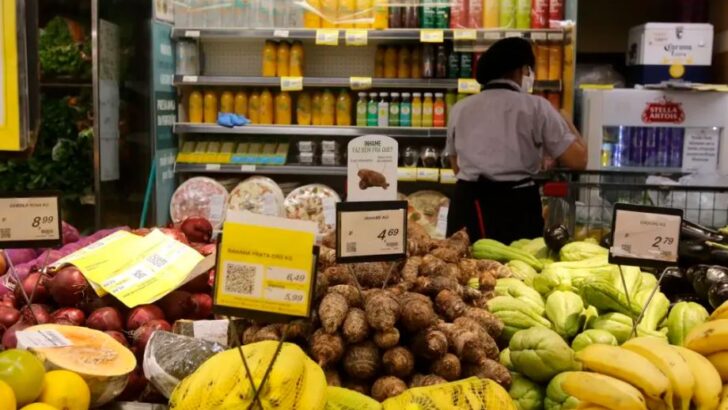 alimentos Copia