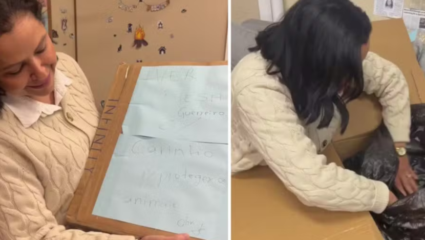 Cachorro morto é enviado em caixa para vereadora defensora da causa animal | notícias do rio grande do norte cachorro vereadora