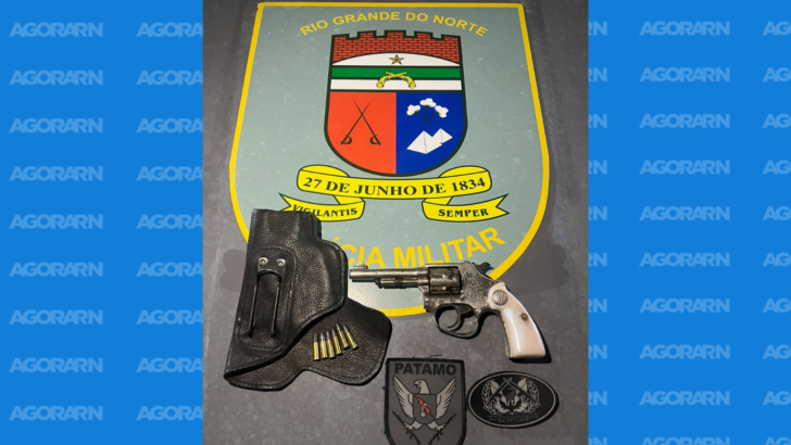 capa portal (31)