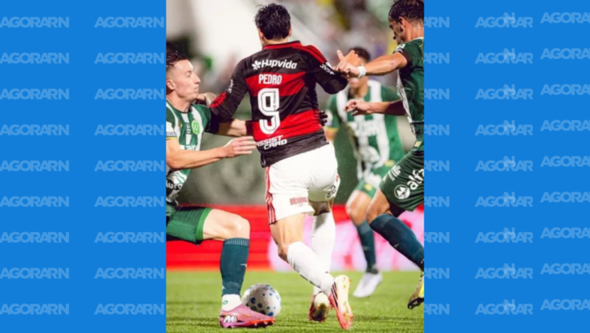Pedro lidera goleada do flamengo contra a chape | notícias do rio grande do norte capa portal (6)