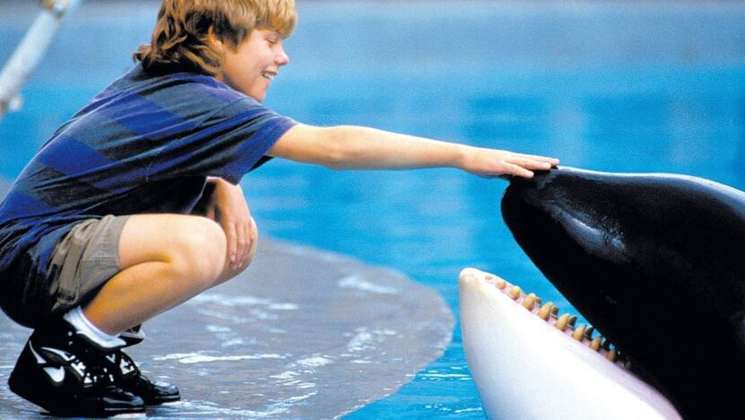 freewilly Copia