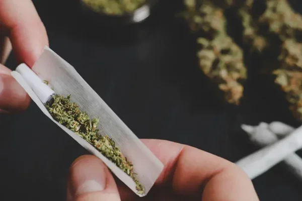 maconha Copia