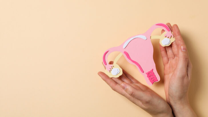 women s health women s healthcare concept with uterus