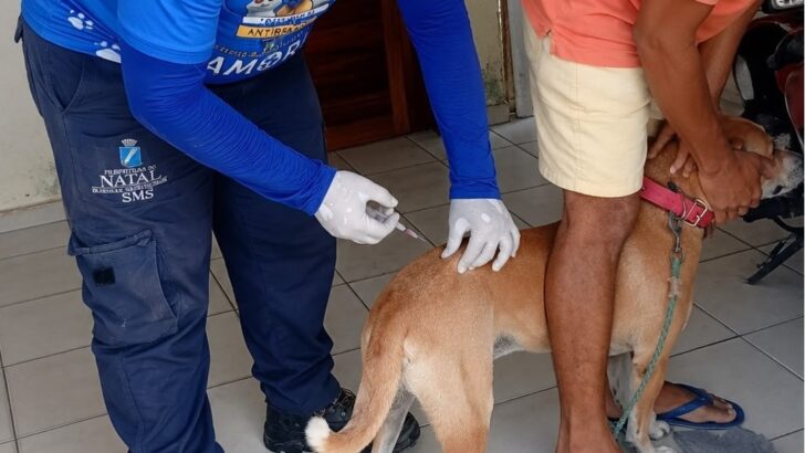 Natal ultrapassa 44 mil cães e gatos vacinados contra a raiva; Dia D acontece em 26 de setembro - Foto: