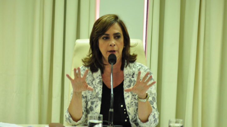 Mulher fala ao microfone, sentada à mesa durante reunião
