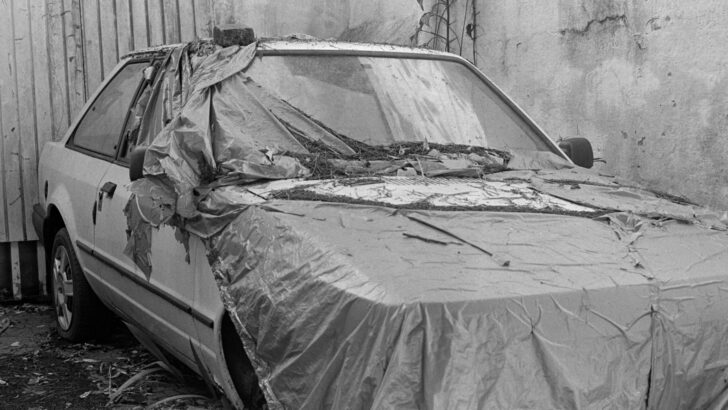 Imagem mostra uma carro em preto e branco. Uma das produções que serão expostas