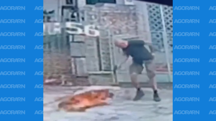 Imagem de câmera de segurança mostra homem próximo a um cachorro caído em uma rua