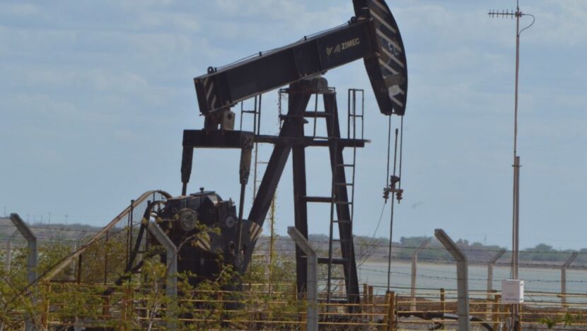 cavalo de petróleo 01