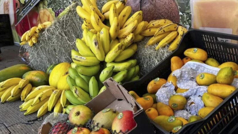 Frutas produzidas na região do Baixo-Açu