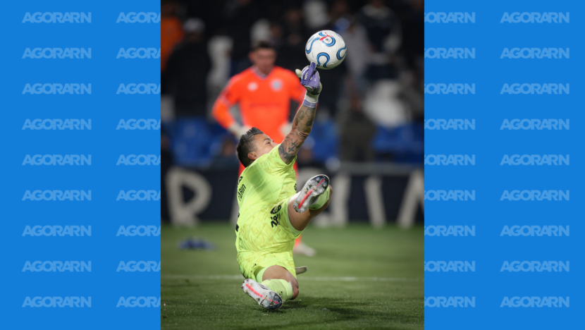goleiro fabio em acao fuminense