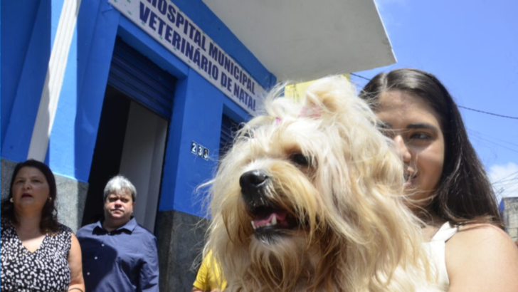 Prefeitura de Natal abre seleção para implantação de Hospital Público Veterinário na Zona Norte, com atendimento prioritário a animais de famílias em situação de vulnerabilidade