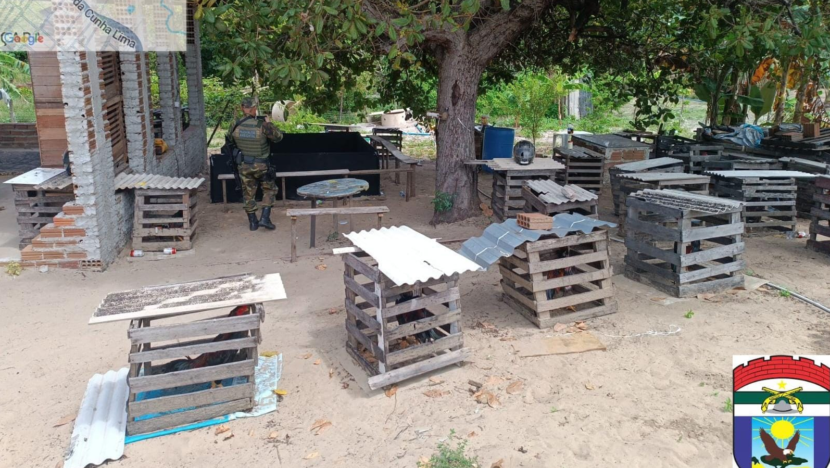 Imagem mostra estrutura montada para combates entre aves e materiais utilizados na atividade. - Foto: PMRN