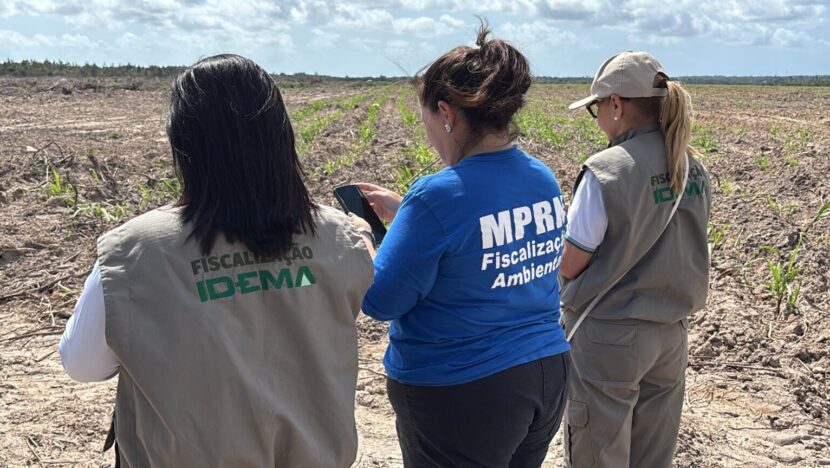 Três integrantes de equipes de fiscalização ambiental observam área de vegetação, com identificações do Idema e do MPRN nas roupas.