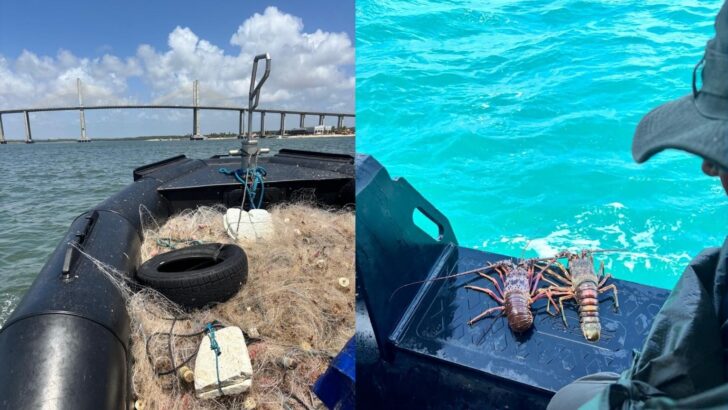 Equipes do Ibama e do policiamento ambiental durante operação contra pesca ilegal de lagosta no litoral do RN
