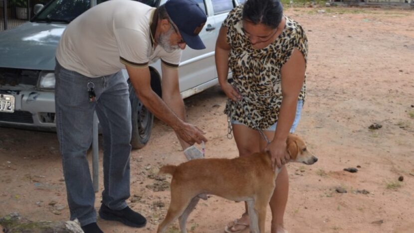 vacinacao antirrabica cao macaiba