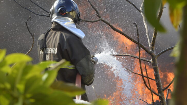 Bombeiro atua no combate a incêndio em vegetação
