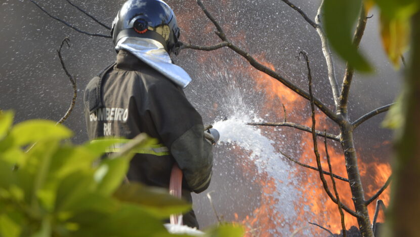 Bombeiro atua no combate a incêndio em vegetação
