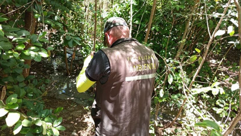 Fiscal ambiental de costas em meio à vegetação