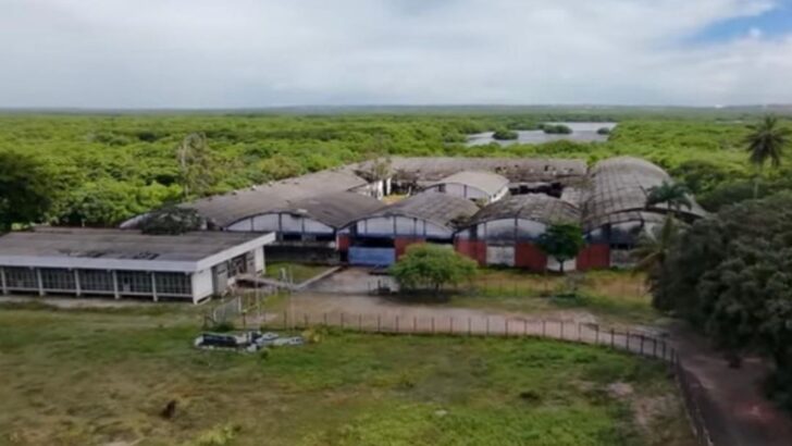 Vista aérea de galpões baixos de telhado claro cercados por vegetação densa