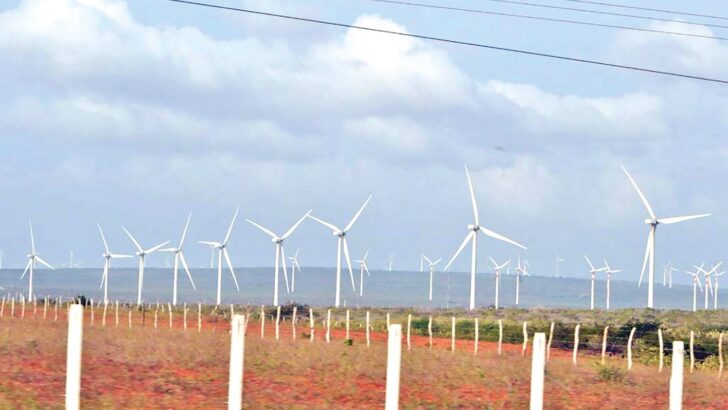 Dezenas de aerogeradores instalados em faixa de vegetação rasteira junto ao litoral, sob céu com nuvens