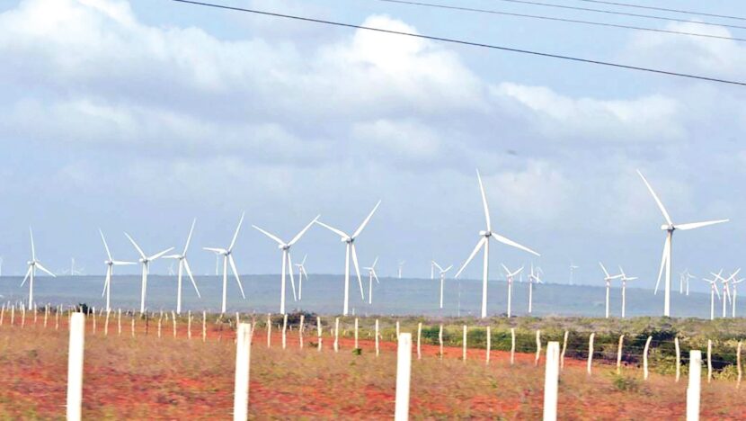 Dezenas de aerogeradores instalados em faixa de vegetação rasteira junto ao litoral, sob céu com nuvens
