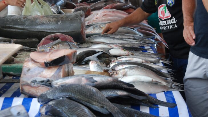 Bancada de feira com vários peixes inteiros expostos e clientes escolhendo o produto