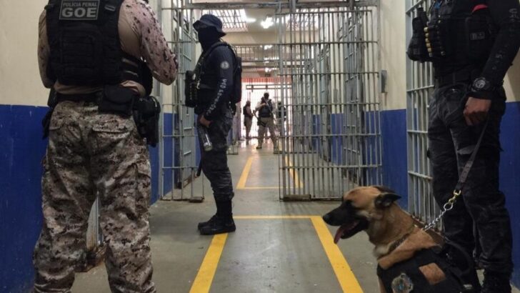 Policiais penais do GOE e um cão farejador em corredor de unidade prisional, com grades abertas ao fundo