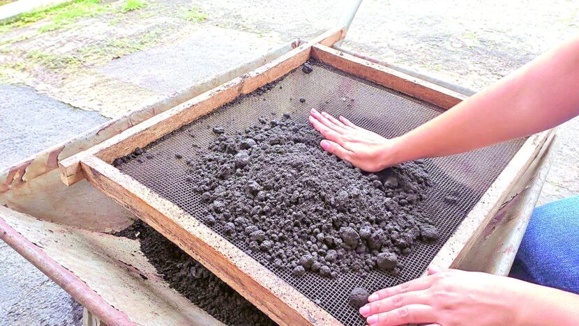 Duas mãos peneiram biochar, material escuro e granulado, sobre uma peneira de madeira