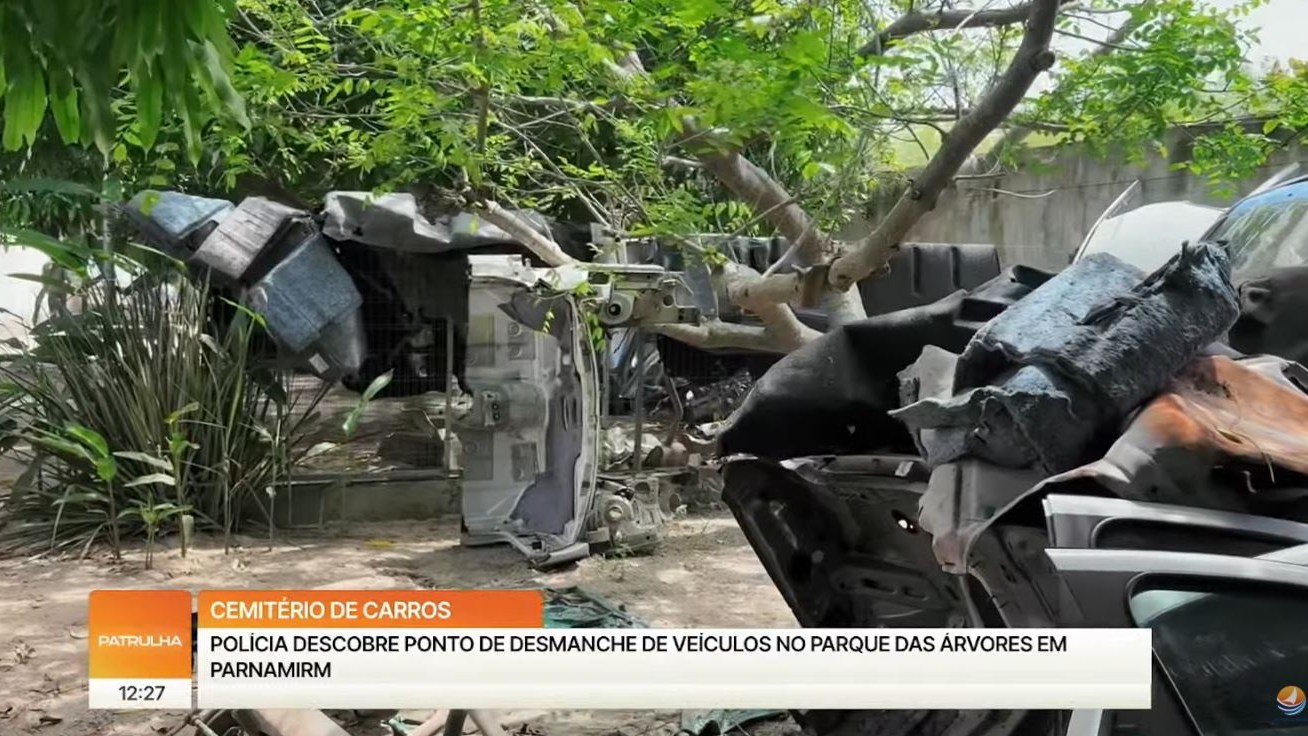 Guarda acha desmanche de carros em galpão em Parnamirim
