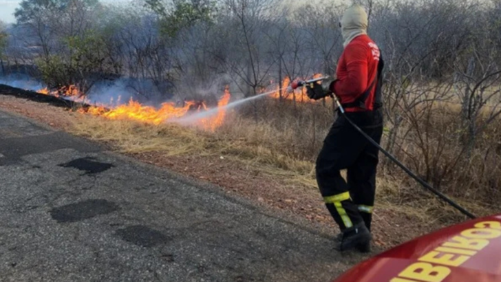 Bombeiro utiliza mangueira para combater incêndio em vegetação às margens de uma estrada