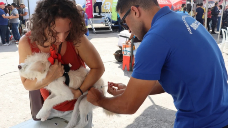 Profissional aplica vacina em cachorro enquanto animal é segurado por uma mulher durante ação de vacinação