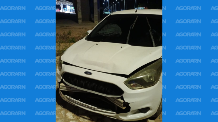 Motorista de 34 anos foi preso após colidir um Ford Ka na traseira de uma viatura da PRF, no km 47 da BR-304, em Mossoró; ocorrência não deixou vítimas - Foto: PRF