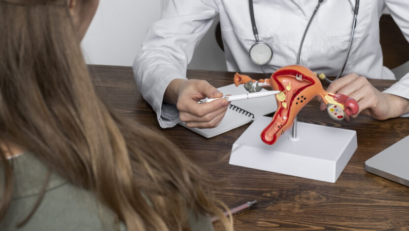 Médica aponta para um modelo anatômico do útero durante consulta ginecológica